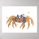 Search for beach kids posters Animal