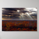 Search for beams posters Rainbow
