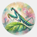 Search for mantis stickers Nature