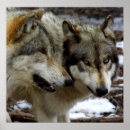 Search for wolf couple art Wolves
