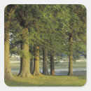 Search for environment labels Usa