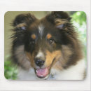 Search for sheltie mousepads Animals