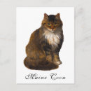 Search for victorian cat postcards Maine coon
