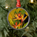 Search for paradise christmas tree decorations Bird of paradise