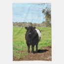 Search for cow tea towels Scottish