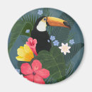 Search for toucan magnets Tropical