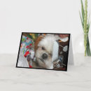 Search for shih tzu christmas cards Puppy