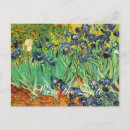 Search for graduation save the dates Floral