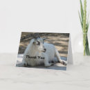 Search for goat thank you cards Farm animal
