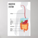 Search for digestive system Science