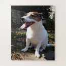 Search for jack russell puzzles Animal
