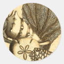 Search for algae stickers Kelp