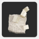 Search for natural science stickers Nobody