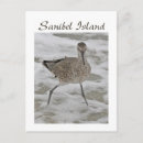 Search for piper postcards Bird