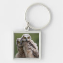Search for focus on foreground key rings Photography