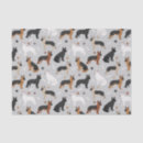 Search for german shepherd tissue paper Pets