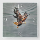 Search for american eagle clocks Wildlife