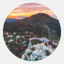 Search for mountain flower stickers Nature