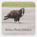 Search for plastic pollution stickers Environment