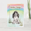 Search for pets sympathy cards Sorry
