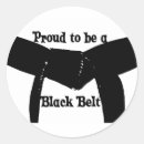 Search for kung fu black belt stickers Martial arts