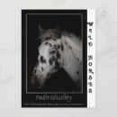 Search for individuality postcards White