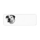 Search for pit bull return address labels Terrier