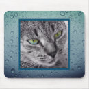 Search for pets mousepads Photography