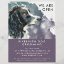 Search for grooms flyers Modern