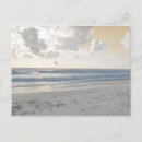 Search for serene postcards Photography