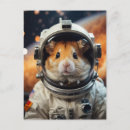 Search for cute hamsters postcards Pet