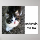Search for love kitten art Funny
