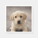 Search for labrador napkins Cute
