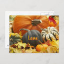 Search for pumpkin image postcards Pumpkins