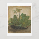 Search for cowslip Watercolor