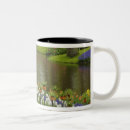 Search for garden mugs Landscaping
