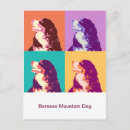 Search for berner sennenhund postcards Bernese mountain dog