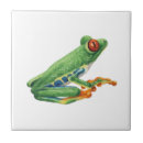 Search for frog tiles Wildlife