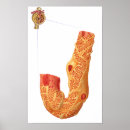 Search for anatomy and physiology posters Medicine