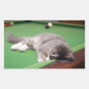 Search for pool ball stickers Photography