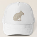 Search for cavies hats Cavy