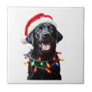 Search for black labrador tiles Funny