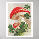 Search for clover leaf posters Botanical