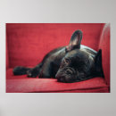 Search for lying posters Horizontal