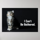 Search for tabby posters Animal