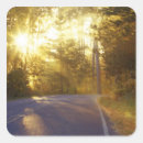 Search for burst stickers Sun