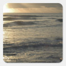 Search for waimea stickers Coastal