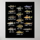Search for freshwater posters Lake