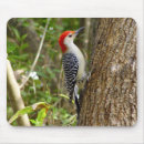Search for bellis mousepads Animals