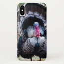Search for wild turkey cases Autumn